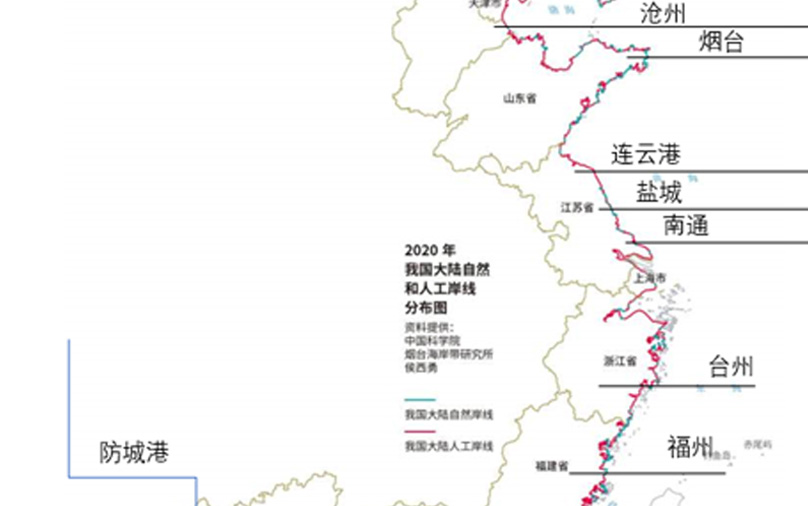 案例综述