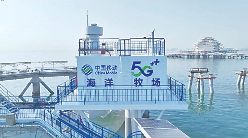 xw4-2.jpg